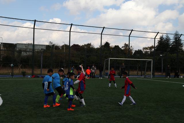 曼城5连败期间哈兰德仅1球 最近4场错失9次良机